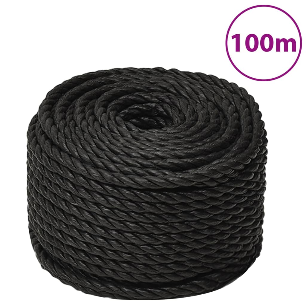 vidaXL Pracovné lano čierne 20 mm 100 m polypropylén