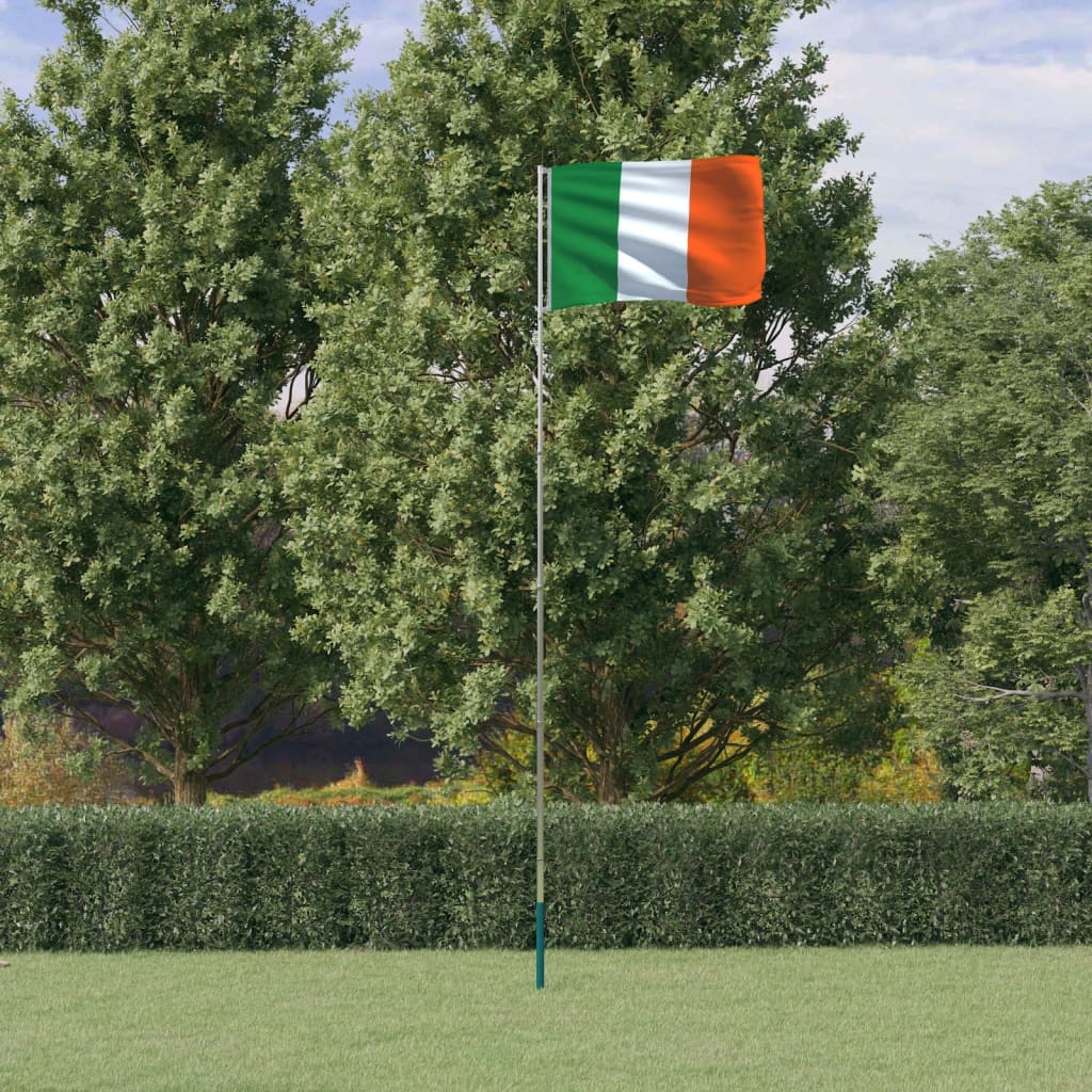 vidaXL Írska vlajka a tyč 5,55 m hliník