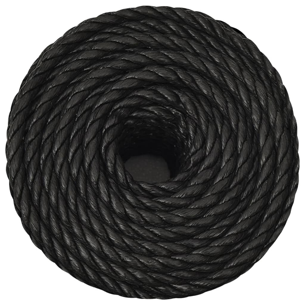 vidaXL Pracovné lano čierne 10 mm 25 m polypropylén